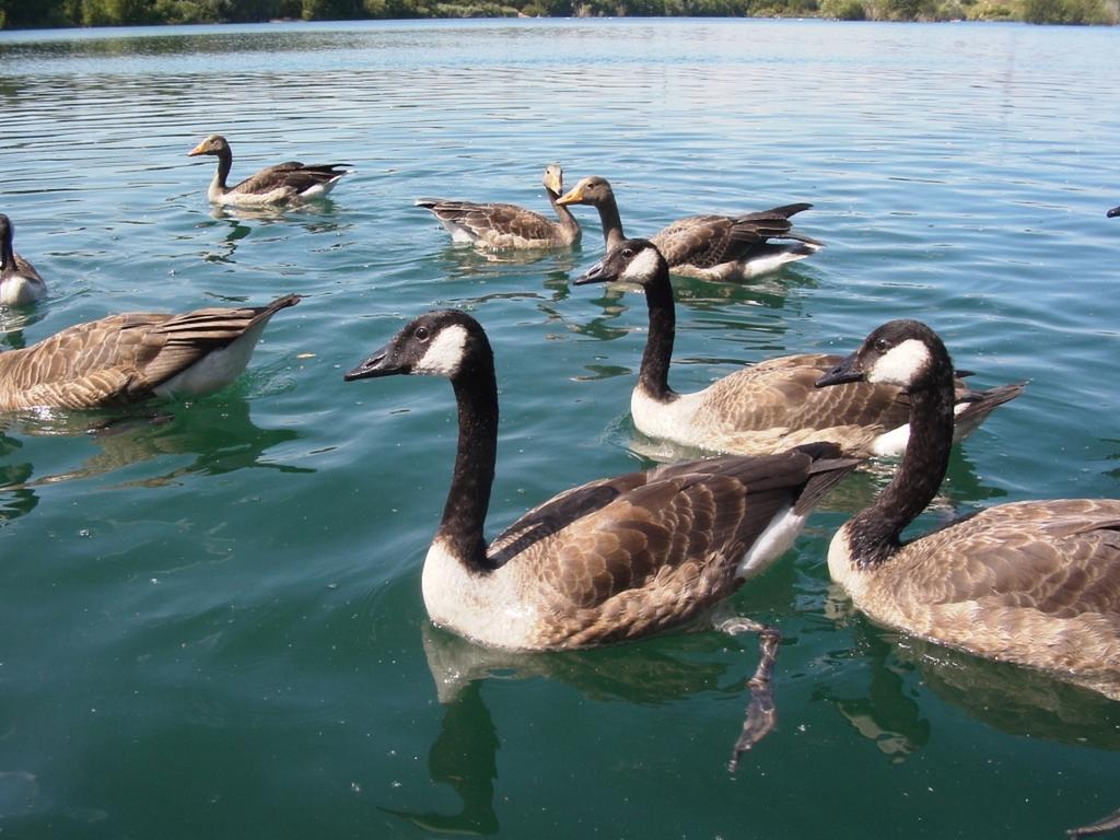 B&B Am See Koeln - Privatzimmer Δωμάτιο φωτογραφία
